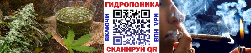Еда ТГК марихуана  Купить закладки  Кизилюрт 