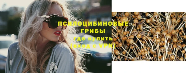 ешки Горно-Алтайск