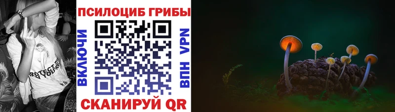Купить закладки  Кизилюрт  Галлюциногенные грибы Magic Shrooms 